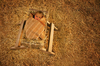 Ella_in_a_manger