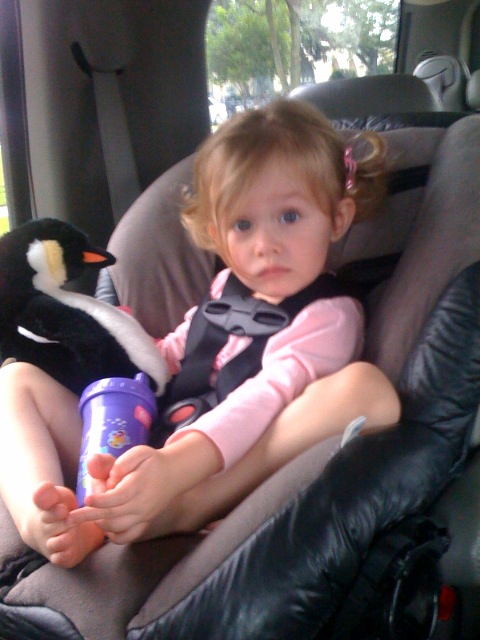 Pig tails